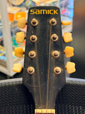 Samick Banjo with a Remo Weatherking Drumhead