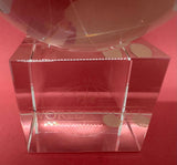 2009 Dawn Princess World Cruise Glass World Globe Paperweight