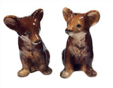 Bear Salt & Peppers Shakers