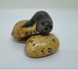 Seal Pebble Pet Hand painted by Joy and John