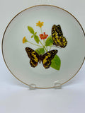 Butterflies Of The Australian Garden Plate