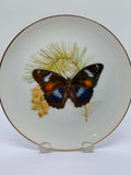 Butterflies Of The Australian Garden Plate