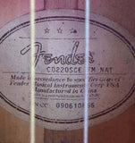 Fender Guitar With Hard Case