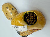 Seal Pebble Pet Hand painted by Joy and John