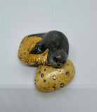 Seal Pebble Pet Hand painted by Joy and John