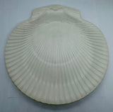 Wedgwood of Etruria & Barlaston Nautilus Shell Shaped Plate