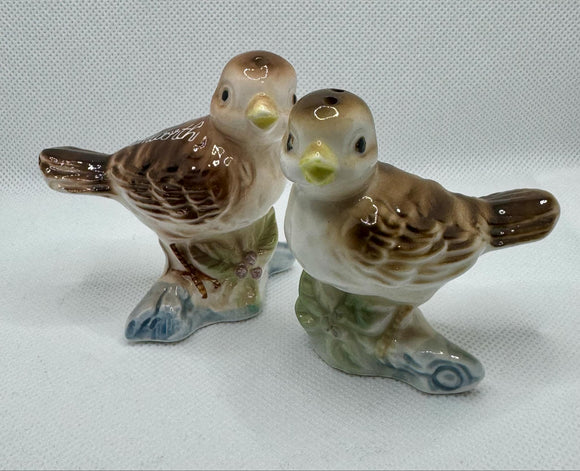 Vintage Salt and Pepper Shakers Tamworth Birds