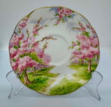 Royal Albert "Blossom Time" Trio Set
