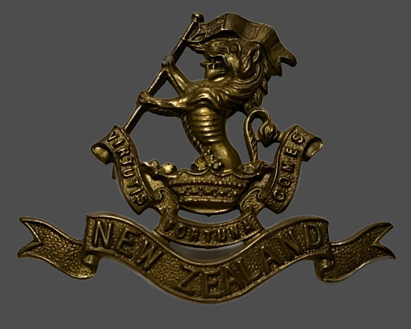 Wellington Regiment Badge