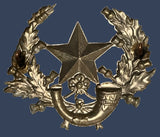 Cameronians Scottish Rifles Cap Badge