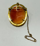 Gold Plated Cameo Brooch/Pendant