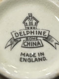 Delphine Bone China Jug