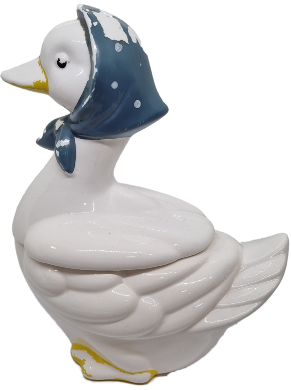 Duck Kitchen Canister