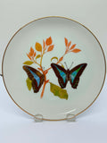 Butterflies Of The Australian Garden Plate
