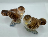 Vintage Salt and Pepper Shakers Tamworth Birds