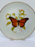 Butterflies Of The Australian Garden Plate