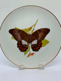 Butterflies Of The Australian Garden Plate