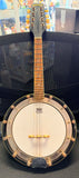 Samick Banjo with a Remo Weatherking Drumhead