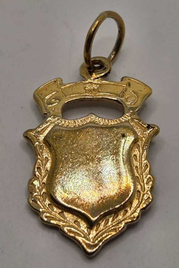 9ct Yellow Gold Shield Pendant