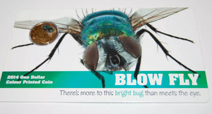 2014 Blow Fly Coloured 1 Dollar